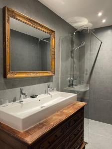 La salle de bains est pourvue d'un lavabo, d'un miroir et d'une douche. dans l'établissement Les Confidences de Messire Sanglier, stylished guest houses, à Beauraing