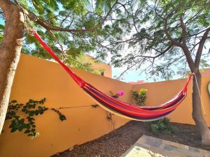 Fotografia z galérie ubytovania Casa Zalla 110m2, 200m2 Garden, Pool, 1Gb Wi-Fi, Private Parking v destinácii Corralejo