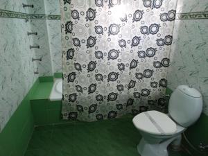 a bathroom with a toilet and a shower curtain at Hotel Grace in Gwalior