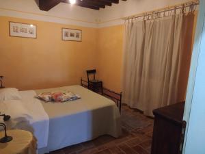 Villa Collemandina的住宿－Agriturismo Paneolio，一间卧室设有两张床和窗户。