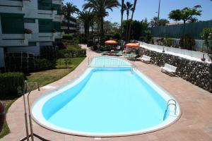 una gran piscina azul con sillas y sombrillas en Apartamentos Maba Playa, en Playa del Inglés