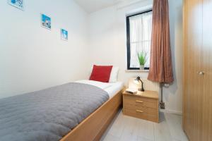een kleine slaapkamer met een bed en een raam bij Haus Titania Wohnung 1 in Grömitz