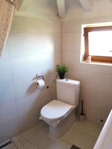 a bathroom with a toilet with a plant on it at Charming dalmatian apartment with panoramic view in Tkon