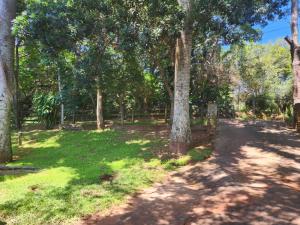 Κήπος έξω από το Imasiku House +17 φωτογραφίες