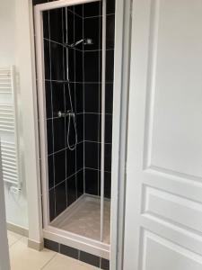 a shower with a glass door in a bathroom at T2 cosy bien équipé climatisé pkg ext gratuit in Fleury-les-Aubrais