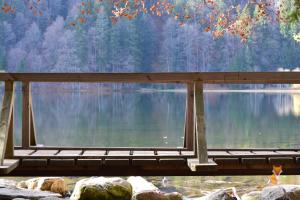 a view of a lake from a wooden bridge at BLACKFOXREST Ferienwohnung in Feldberg