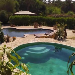 a large swimming pool in a yard with a patio at Mountain Camp Ali Khaled in Siwa