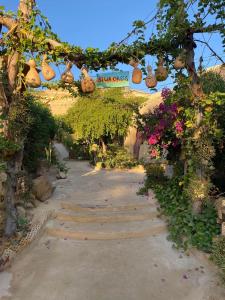 a walkway in a garden with lots of flowers at Mountain Camp Ali Khaled in Siwa