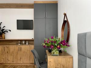Televízia a/alebo spoločenská miestnosť v ubytovaní Apartament Cobena