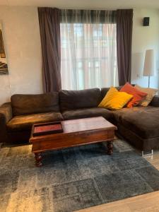 un soggiorno con divano marrone e tavolino da caffè di Lounge Park Apartment ad Amsterdam