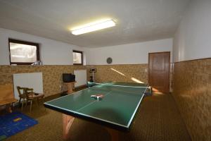 Herní místnost v ubytování Haus Alpina by Châtel Reizen