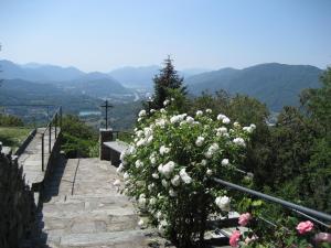 a bunch of white roses growing on a stair case at Ar Convént B&B in Bigorio