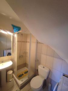 Kúpeľňa v ubytovaní Traditional lux mezonete