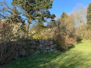 eine Steinmauer auf einem Feld mit einem Baum in der Unterkunft Feriehuset Ørnereden in Rønne