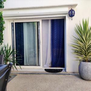 une fenêtre avec des rideaux bleus et une plante en pot dans l'établissement Studio indépendant dans villa, parking gratuit., à Castelnau-le-Lez