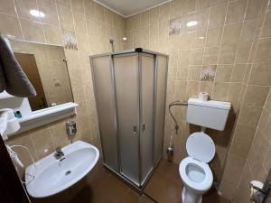 een badkamer met een douche, een toilet en een wastafel bij F Hotel in Hörsching