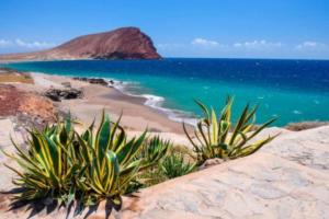 una playa con un montón de plantas en una roca en Dolce Vita, en San Isidro