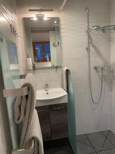 Koupelna v ubytování Chalet Rayon de Soleil Gryon Villars + 71 fotografií