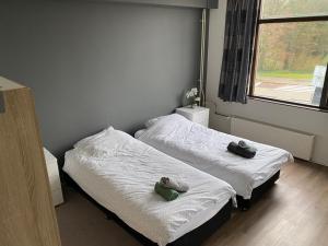 Dos camas en una habitación con dos ositos de peluche. en Hotel Cafe The Windmill en Schiedam