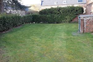 a backyard with a yard with green grass at Sous le grand Cèdre in Le Quesnoy-en-Santerre