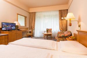 TV a/nebo společenská místnost v ubytování Gesundheit & Wellness Resort Bad Mitterndorf