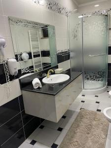 een badkamer met een wastafel en een douche bij Hotel Bacsoridana in Tecuci