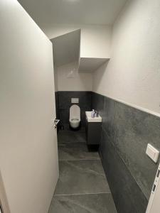 Baño pequeño con aseo y lavamanos en Appartment Hoamatgfüh en Wagrain