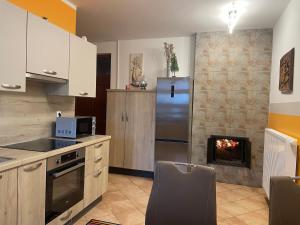 a kitchen with a refrigerator and a fireplace at Apartment & Studio Forest Paradise in Cerkno