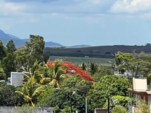 Aussicht vom Dach eines Hauses mit Bäumen und Blumen in der Unterkunft Indira Villa 3 in Roche Terre
