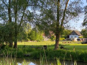 ein Park mit Teich und Bäumen und ein Haus in der Unterkunft Elbinsel-Home ‘Alpakaliebe’ in Hamburg