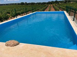 einen blauen Pool mit Blick auf einen Weinberg in der Unterkunft Casa rural Loma de las Veredas in Ossa de Montiel