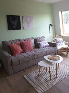 a living room with a gray couch with pink pillows at Apartman LeDa - Ski centar Ravna Planina Gornje Pale in Pale
