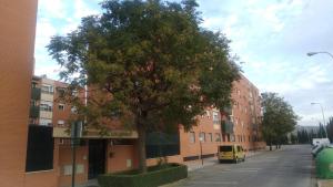 un albero su una strada di fronte a un edificio di APARTAMENTO LUMINOSO EN URBANIZACIÓN PRIVADA a Granada