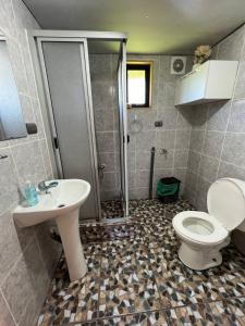 y baño con aseo, lavabo y ducha. en Cabañas Alto Puelo Patagonia Verde, en Puelo
