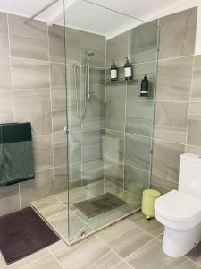 łazienka z kabiną prysznicową i toaletą w obiekcie Eumundi Cottage in Town w mieście Eumundi