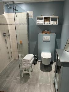 a blue bathroom with a shower and a toilet at Ferienwohnung St. Dionyser Heidedorf EG7 in Sankt Dionys