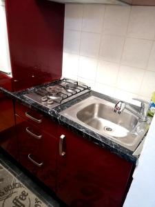 Kuchyň nebo kuchyňský kout v ubytování apartmaji Renc