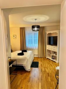 1 dormitorio con 1 cama y TV de pantalla plana en SternenHimmel Gamlitz en Gamlitz