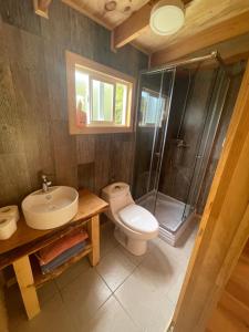 a bathroom with a toilet and a sink and a shower at Tiny house los zorzales in Castro