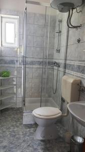 ein Bad mit einer Dusche, einem WC und einem Waschbecken in der Unterkunft Apartments Irena in Božava