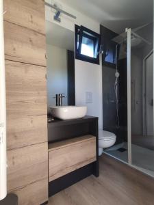 uma casa de banho com um lavatório, um WC e um espelho. em La cabane au fond du jardin - 300m de la plage em Saint Malo