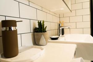 Colindale的住宿－Lavish 2 Bedroom Apartment，一间带卫生间、水槽和植物的浴室