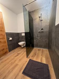 a bathroom with a shower and a toilet at Alp Apart Niederthai in Umhausen