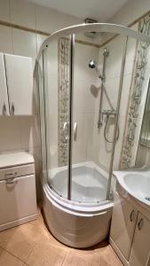 a bathroom with a shower and a sink at Apartmán Deštné v Orlických horách 58 in Deštné v Orlických horách