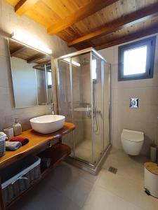 a bathroom with a shower and a sink and a toilet at Alia Stone Villa-Ideal for families-Heated pool in Nohia