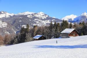 Grand Morillon- C215 Appt vue piste-4 pers during the winter