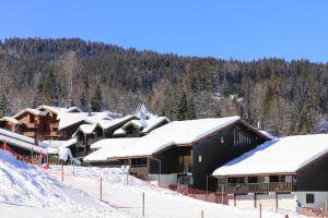 Grand Morillon - 104 - Montagne Belle Vue Studio 4 v zime