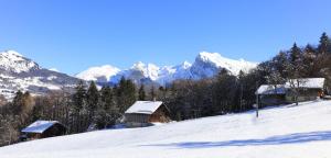 Grand Morillon - 104 - Montagne Belle Vue Studio 4 v zime