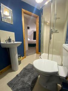 a bathroom with a toilet and a sink and a shower at Derryree House in Lisnaskea