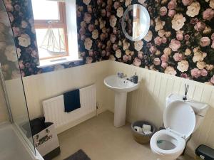 a bathroom with a toilet and a sink at Derryree House in Lisnaskea